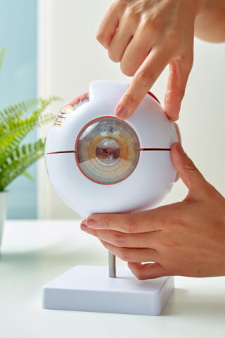 Comprehensive eye exam